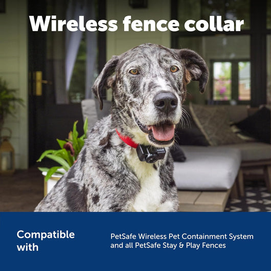 Wireless Dog Fence Receiver Collar
