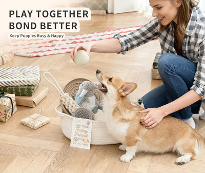 Puppy Starter Gift Basket I Essential Toy Collection