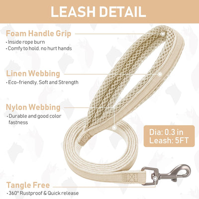 No Pull Dog Harness Set