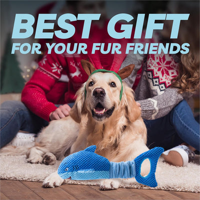 Squeaky Shark Tug Toy for Busy Dogs