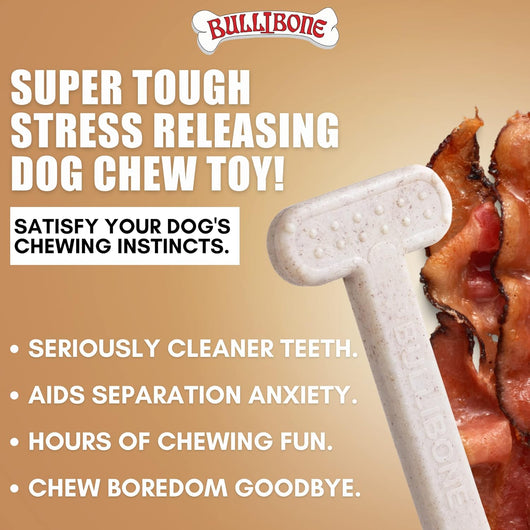 Dental Nylon Dog Chew Toy with Bacon Flavor