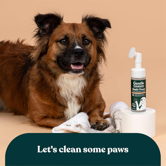 Magic Foam Paw Cleaner