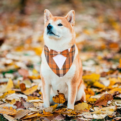 Orange Plaid Dog Tuxedo Bandana with Bowtie