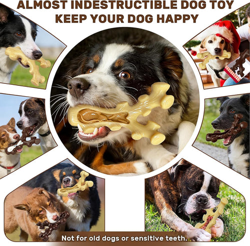 Indestructible Nylon Chew Toys 2-Pack