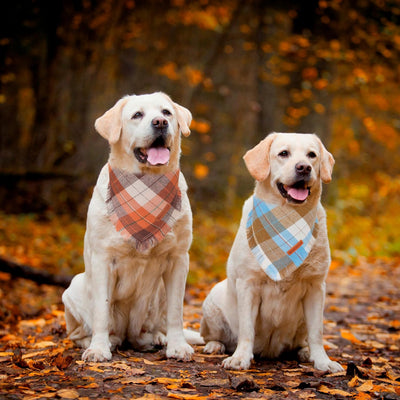 Plaid Tassel Dog Bandana Two-Pack for Fall