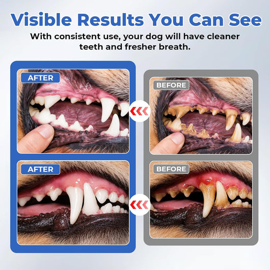 Ultrasonic Dog Toothbrush & Dental Kit