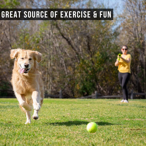 K9 Dog Ball Launcher