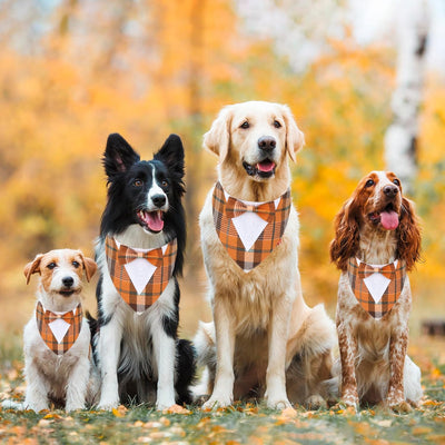 Orange Plaid Dog Tuxedo Bandana with Bowtie