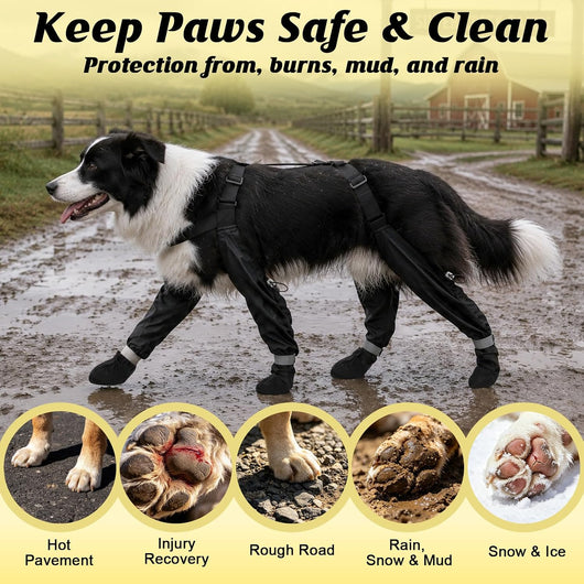 Water-Resistant Large Dog Boots with Suspenders