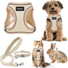 No Pull Dog Harness Set