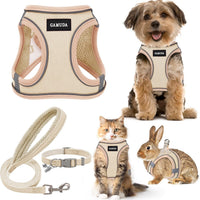 No Pull Dog Harness Set
