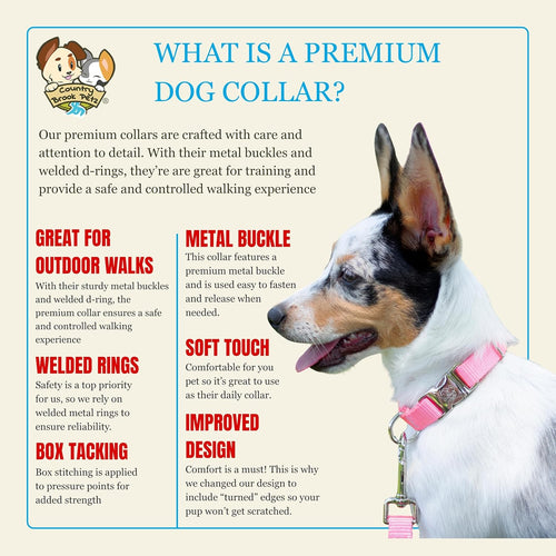 Premium Nylon Dog Collar with Metal Buckle