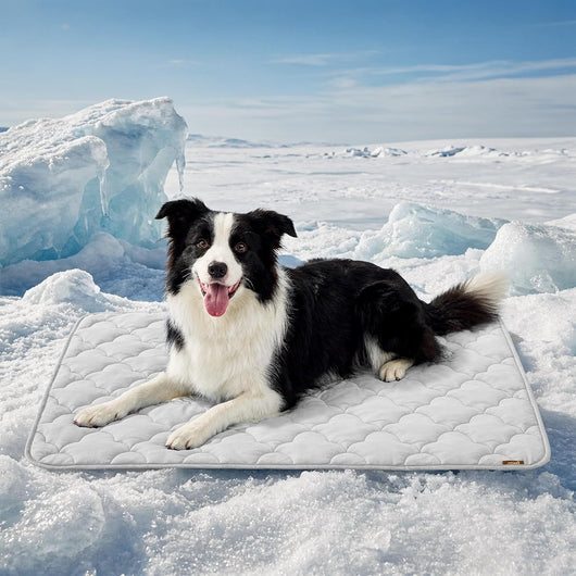 ZOMISIA Cooling Dog Mat For XL Dogs