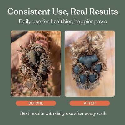 Fragrance Free Dog Paw Foam Cleaner