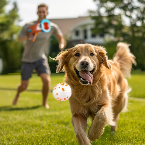 Dog Ball Launcher With 3 ETPU Balls