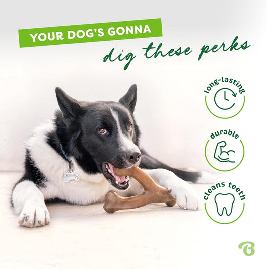 Benebone Wishbone I Durable Bacon Chew Toy