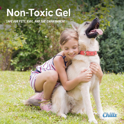 Chillz Cooling Dog Mat for Medium Pets
