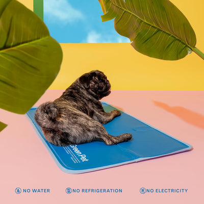 Cooling Dog Mat For Large Breeds