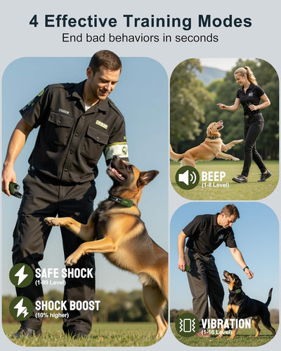 Collar with Remote I 4500FT Range, Waterproof, Rechargeable