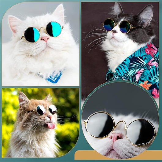 UV Protection | Retro Dog Sunglasses