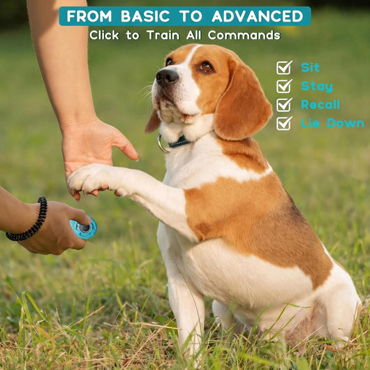Dual Dog Training Clickers for Faster Learning