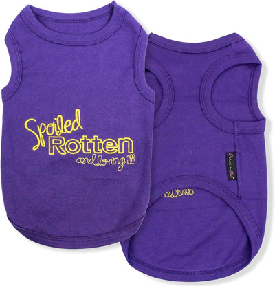 Big Dog I Purple Cotton Shirt Summer Outfit