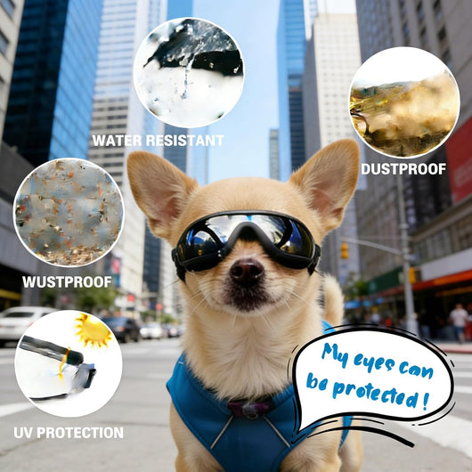 Dog Sunglasses Anti I Fog UV Protection for Small Dogs