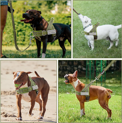 Reflective Tactical No-Pull Dog Harness and Leash