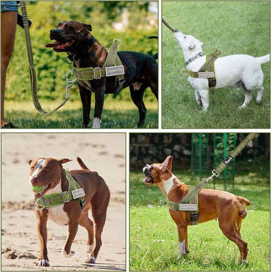 Reflective Tactical No-Pull Dog Harness and Leash