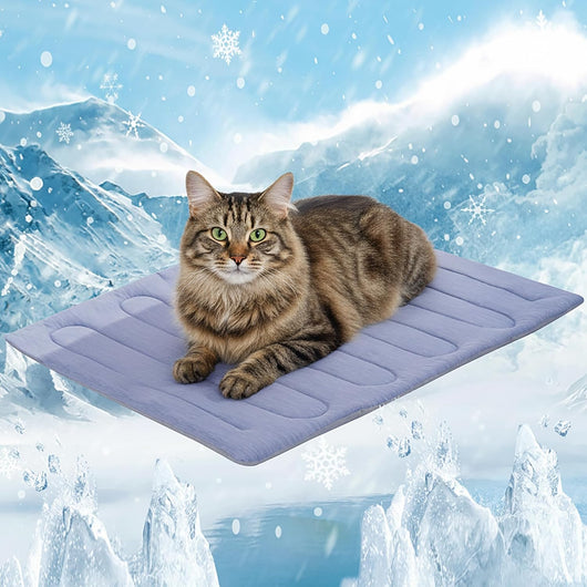 Thick Cooling Dog Mat For Large Breeds