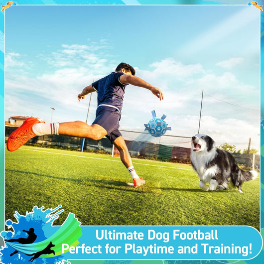 Dog Soccer Ball 6" I Blue Ball toy