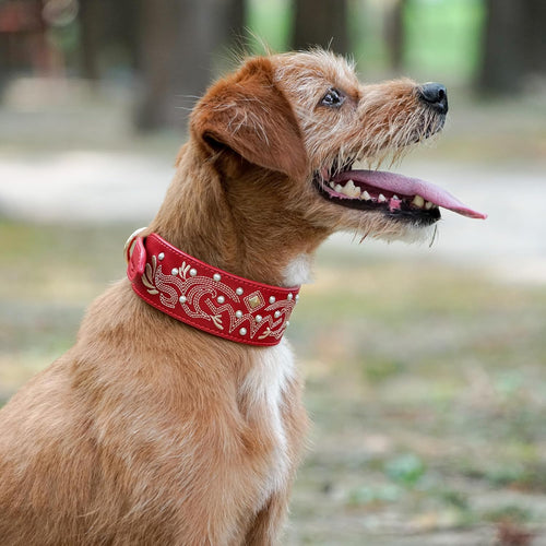Western Leather Dog Collar | Floral Embroidered Studded Collar