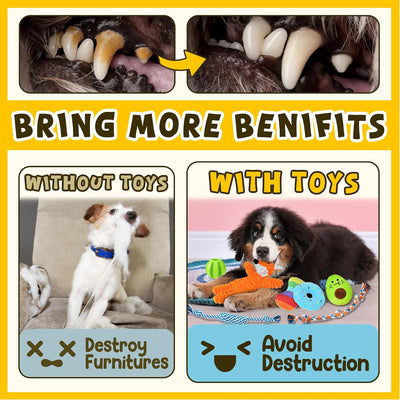 Puppy Teething Toy Set For Fun Healthy Chewing