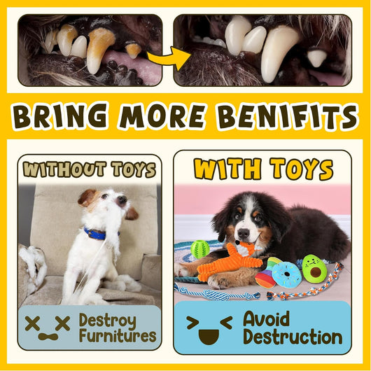 Puppy Teething Toy Set For Fun Healthy Chewing
