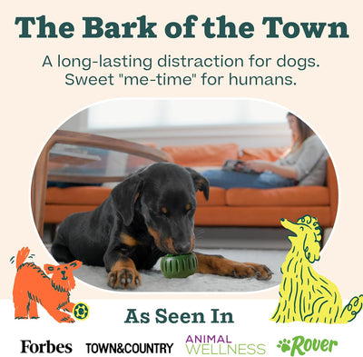 Refillable Frozen Treat Toy for Large Dogs