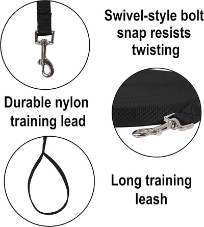Leash Recall Training Freedom For Active Dogs