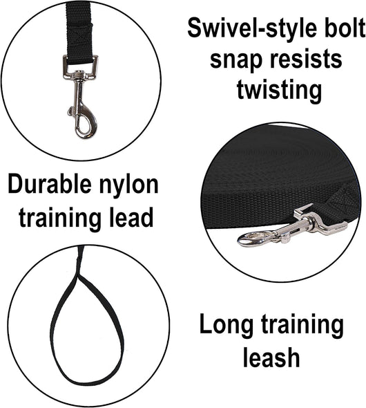 Leash Recall Training Freedom For Active Dogs