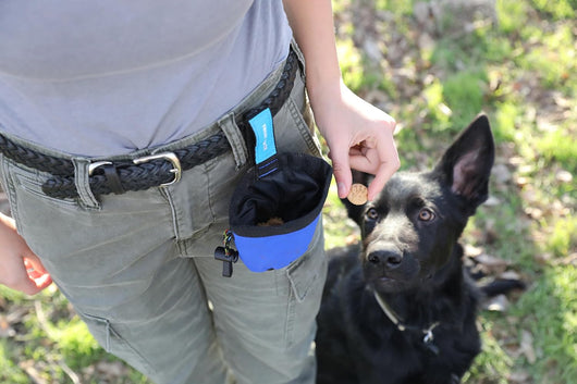 Treat Bag Quick Rewards For Focused Dogs