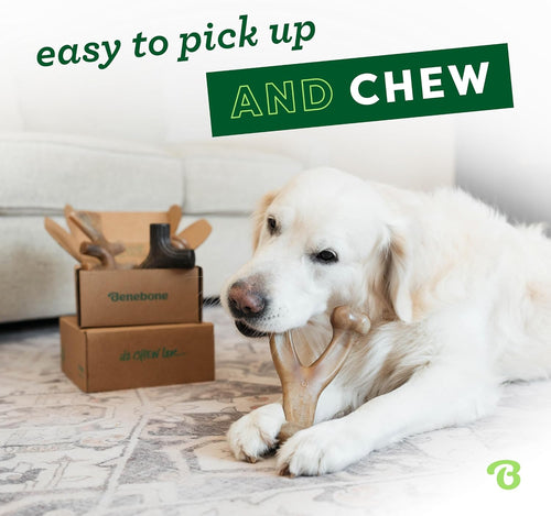 Benebone 4-Pack Medium Chew Bones