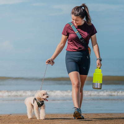 Insulated 3-in-1 Dog Travel Water Bottle Set