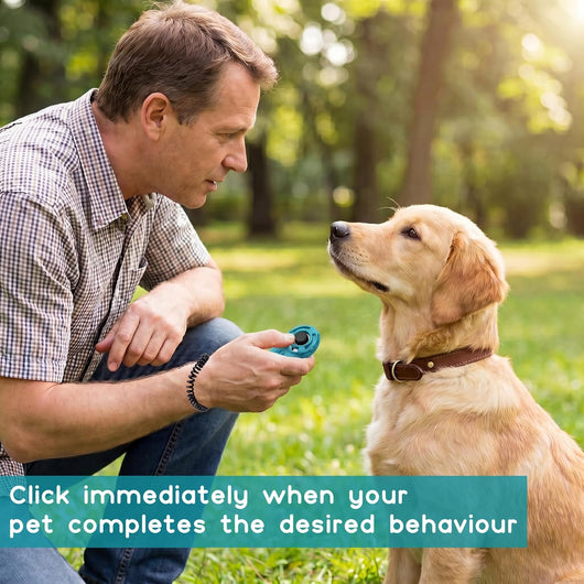 Dual Dog Training Clickers for Faster Learning