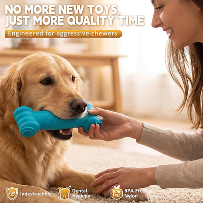 KXK Indestructible Dog Chew Bones Set