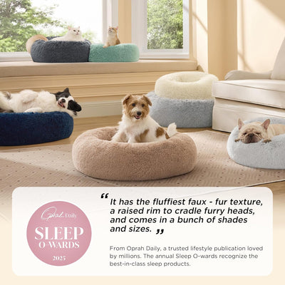Human Dog Bed With Orthopedic Support