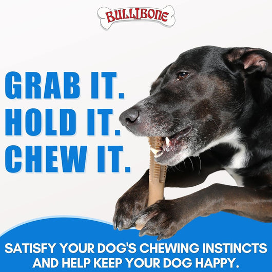 Dog Dental Chew Toy for Small & Medium Dogs