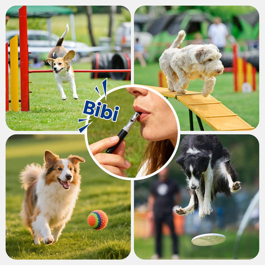 Adjustable Ultrasonic Dog Recall Training Whistle Set