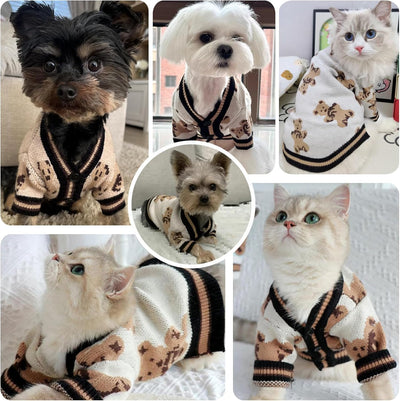 Cute Bear Dog Sweater Cardigan – Soft Knit Warm Dog Clothes for Small & Medium Dogs