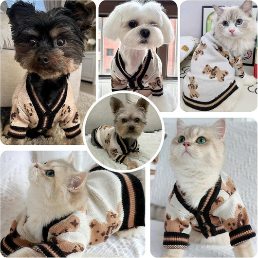 Cute Bear Dog Sweater Cardigan – Soft Knit Warm Dog Clothes for Small & Medium Dogs