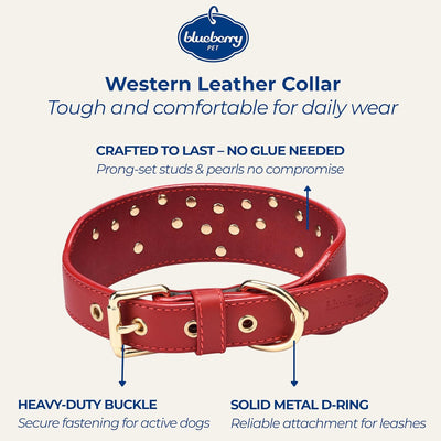 Western Leather Dog Collar | Floral Embroidered Studded Collar