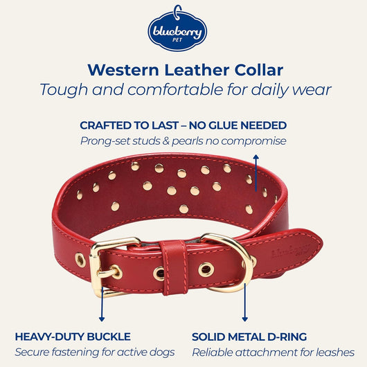 Western Leather Dog Collar | Floral Embroidered Studded Collar