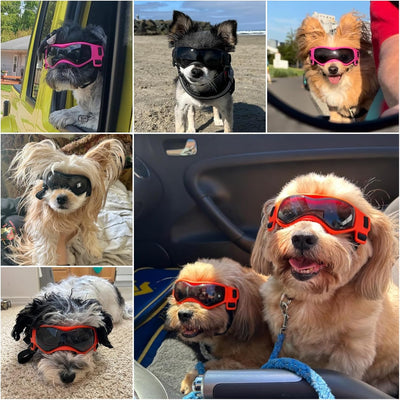 Dog Sunglasses UV Protection Adjustable Small Dogs